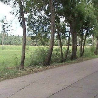 Properties for Sale - Hiway Borbon, Cebu