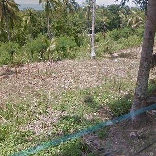 200/sqm Land for Sale - Bullogan, Dumanjug, Cebu