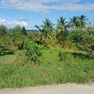 Land for Sale - Cagay, Barili, Cebu