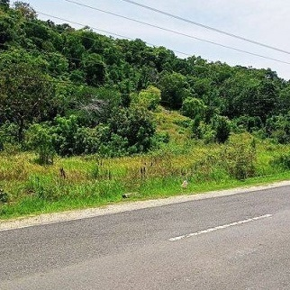 650/sqm Along Hiway - Canlumacad, Santander for sale in Cebu, Philippines
