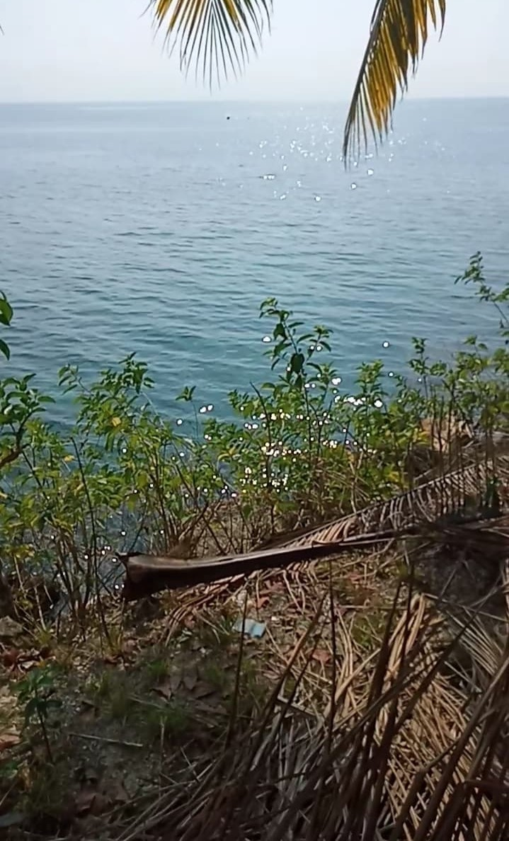 cliff lot -08