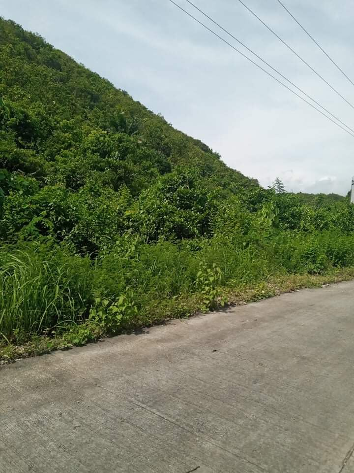 compostela cebu lot -02