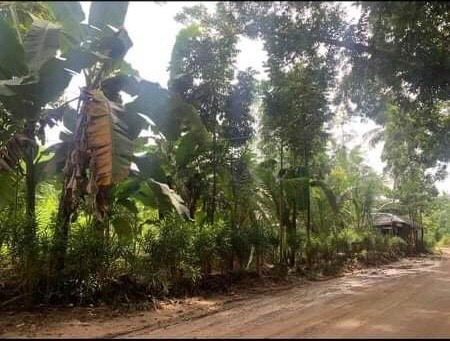 compostela cebu lot -05