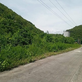 800/sqm Properties for Sale - Bulwang, Compostela, Cebu
