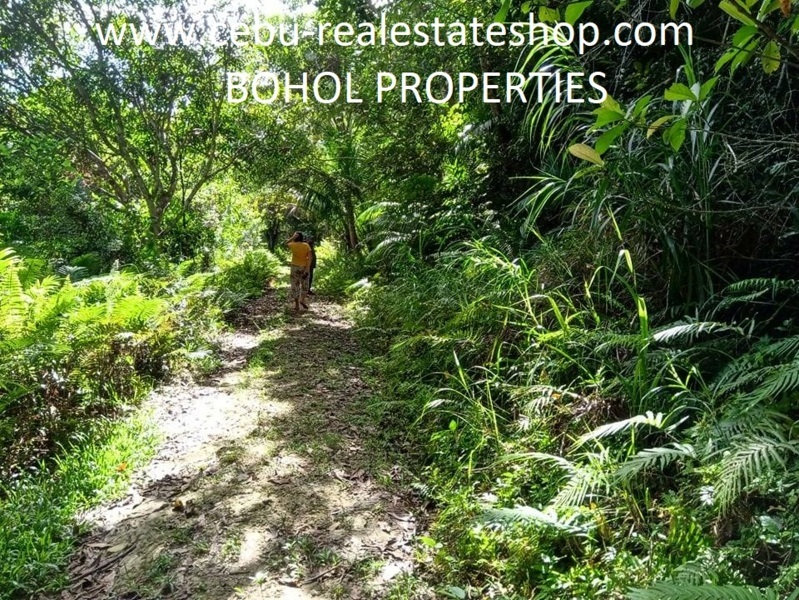 corella bohol properties -04