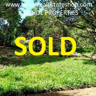 400/sqm Land for Sale - Corella, Bohol, Philippines