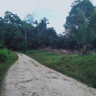 400/sqm Lot for Sale - Corella Bohol Philippines