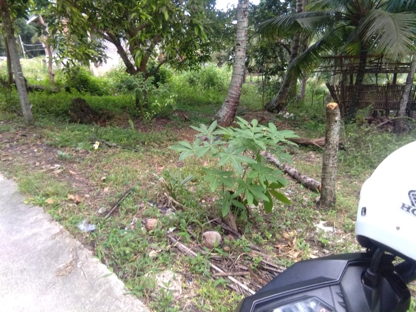 dalaguete lot for sale -01