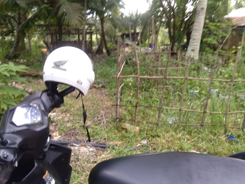 dalaguete lot for sale -02