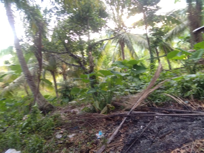 dalaguete lot for sale -03