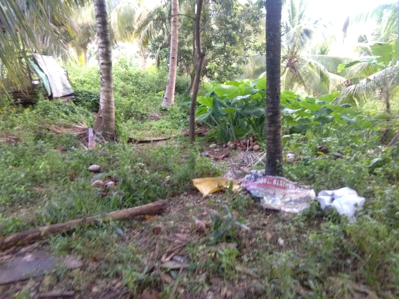 dalaguete lot for sale -04