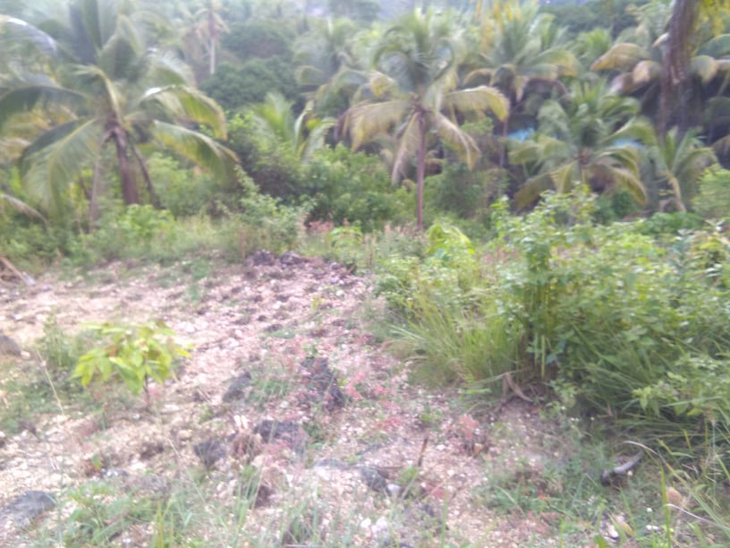 dalaguete lot for sale -06