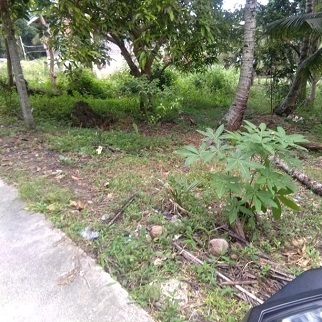 200/sqm Land Properties - Dalaguete, Cebu, Philippines for sale in Cebu, Philippines