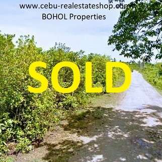 1000 sqm Land for Sale - Panglao, Bohol, Philippines