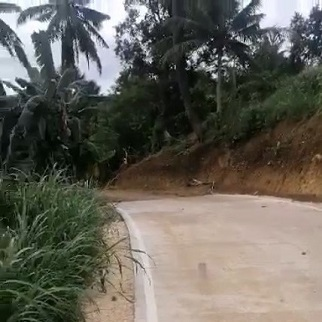 Properties for Sale - Doldol, Dumanjug, Cebu