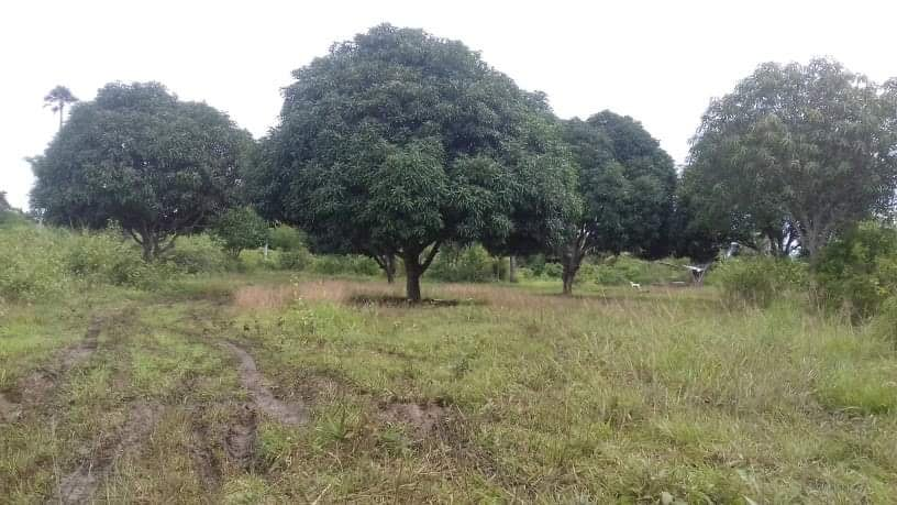 properties for sale in dumanjug cebu - 03