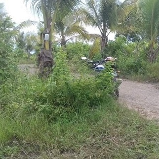 350/sqm Land for Sale - Dumanjug, Cebu, Philippines