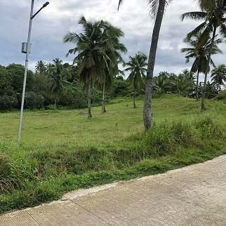 400/sqm Land for Sale - Esperanza, Aloguinsan