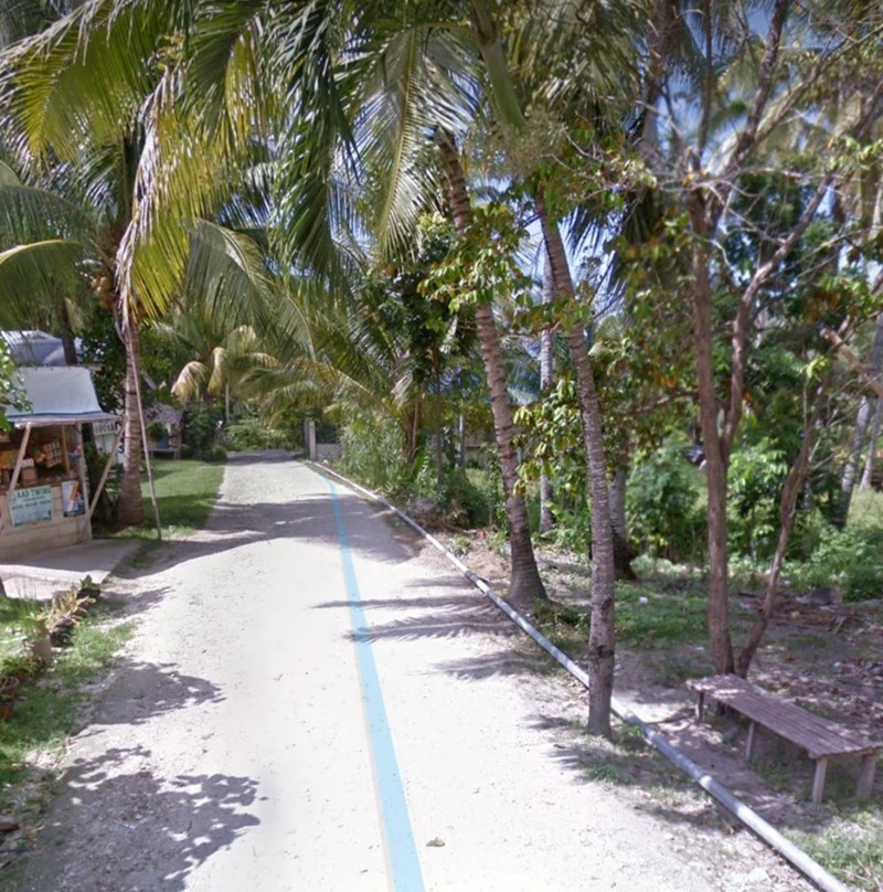 properties for sale in palanas ginatilan cebu - 01