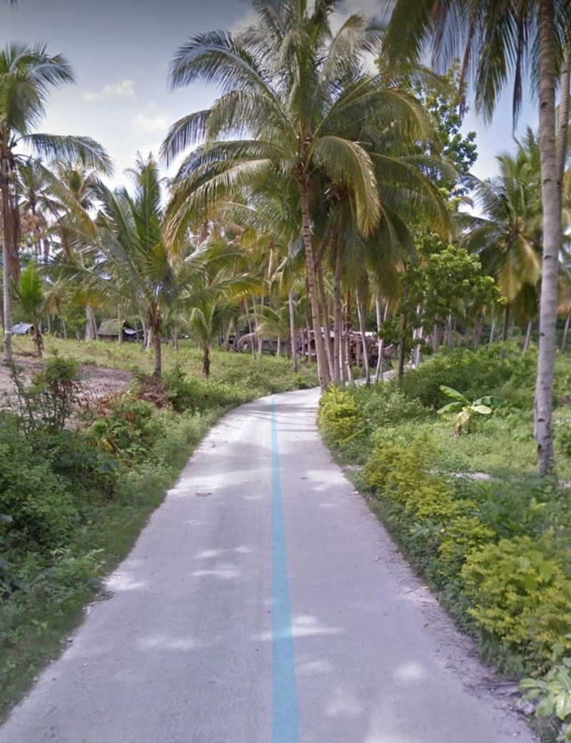 properties for sale in palanas ginatilan cebu - 02