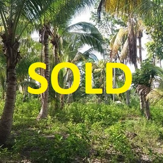 Lot Properties for Sale - Palanas, Ginatilan, Cebu