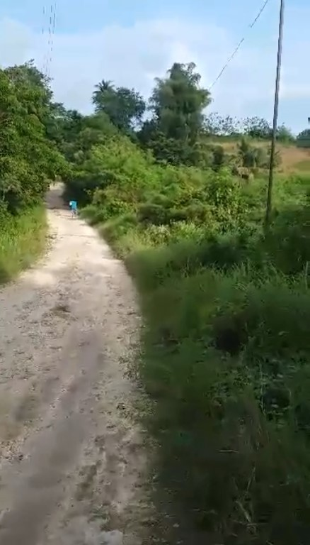 ilihan -01