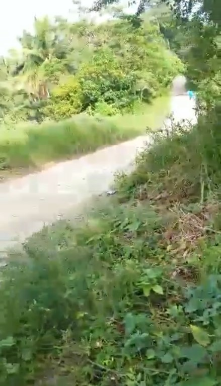 ilihan -02