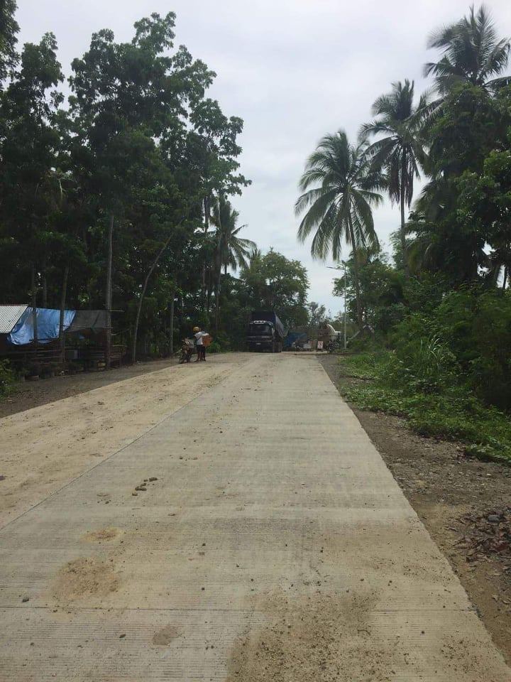 inabanga bohol properties -04