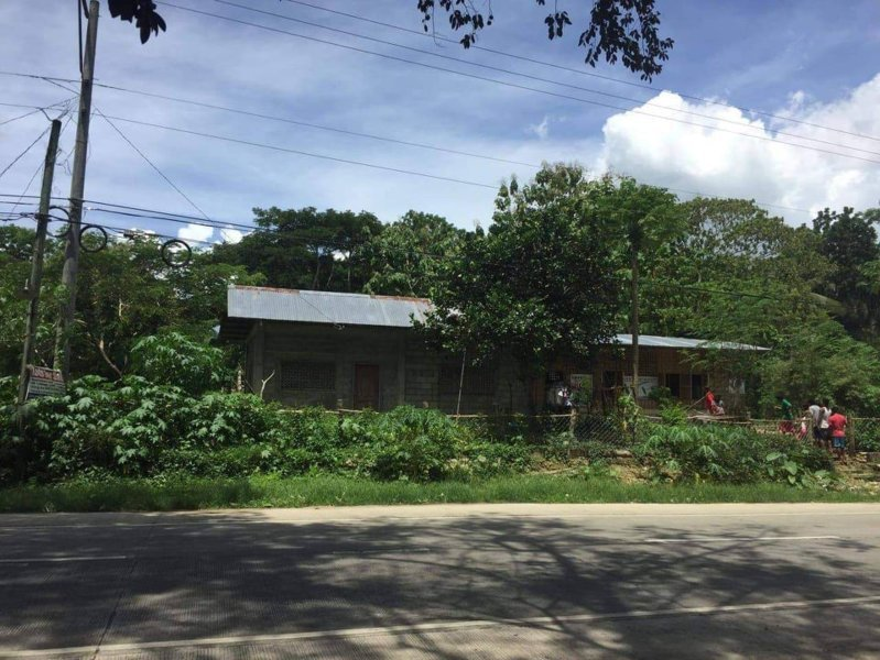 inabanga bohol properties -07