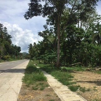 2,000/sqm Properties for Sale - Inabanga Bohol Philippines