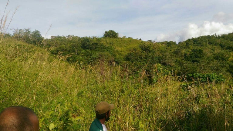 corella bohol properties -01