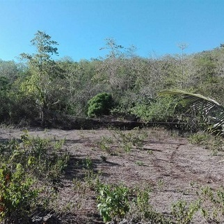 Land Properties for Sale - Kampingganon, Bantayan