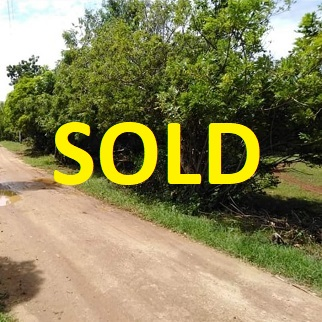 350/sqm Land for Sale - Kangkaibe, Bantayan