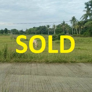 250/sqm Land for Sale - Madridejos, Bantayan Island