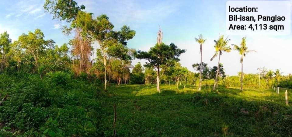 land bil isan panglao -01