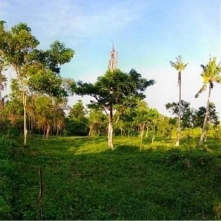 Properties for Sale - Bil-isan, Panglao, Bohol