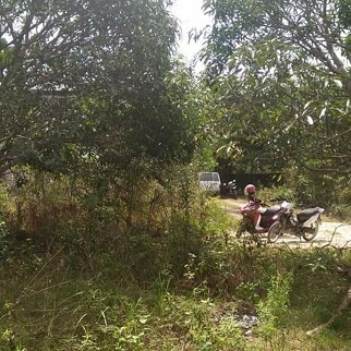 1000 sqm Land Properties - Tinago Dauis Bohol Philippines for sale in Cebu, Philippines