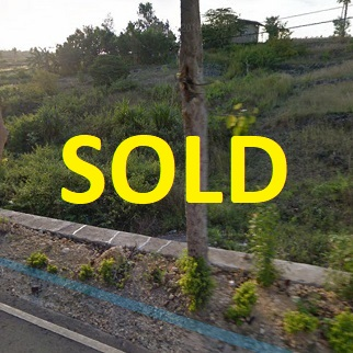 300/sqm Land Slope Land for Sale - Dumanjug, Cebu, Philippines