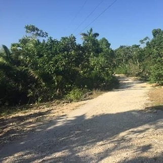 1,000/sqm Land for Sale - Baclayon, Bohol, Philippines