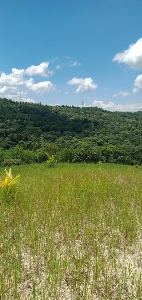 landahan -05
