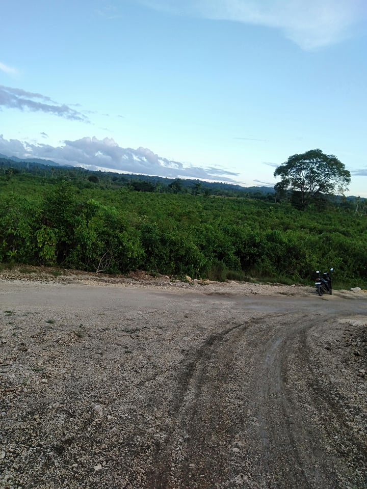 lawaan -03