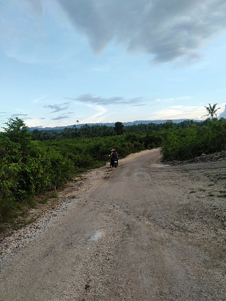 lawaan -04