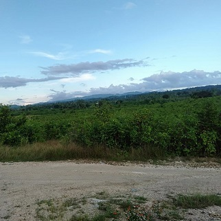 250/sqm Corner Lot - Lawaan, Dumanjug for sale in Cebu, Philippines