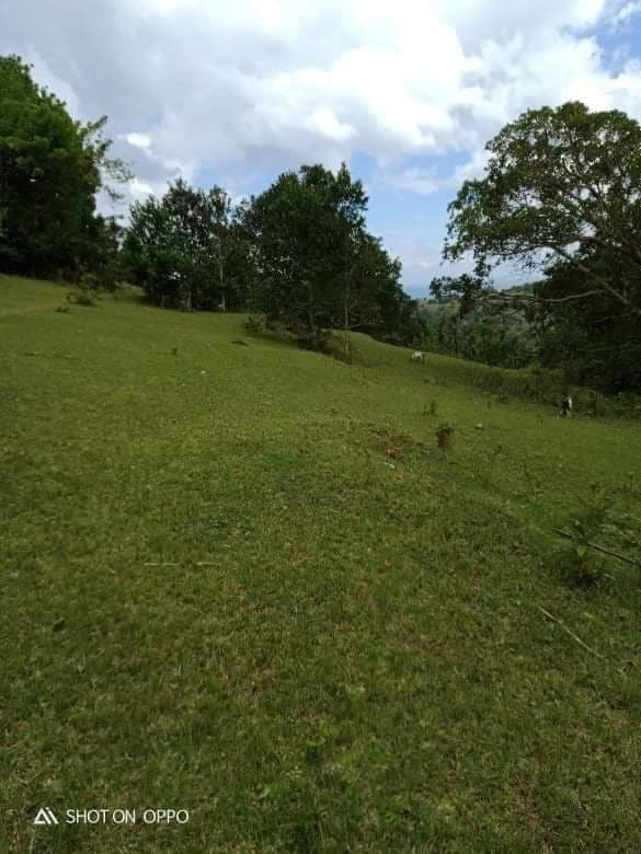 legaspi -03