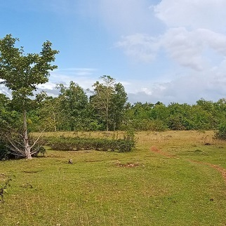 3,000/sqm Properties for Sale - Panglao, Bohol, Philippines