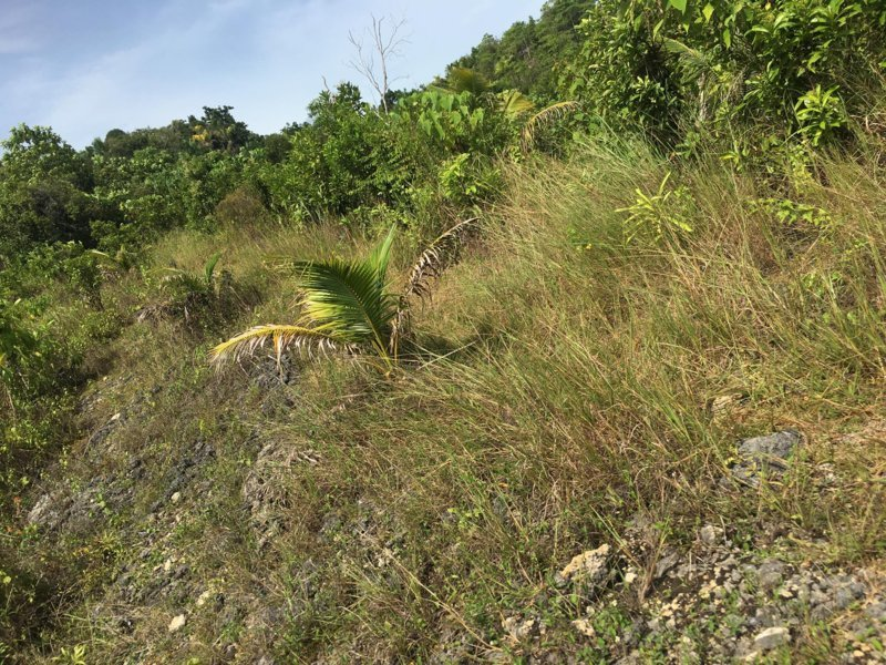 libertad 2 hectare -04