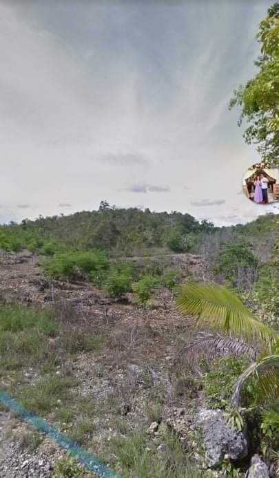 libertad 2 hectare -05
