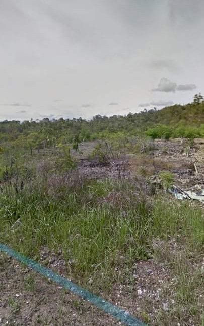libertad 2 hectare -07