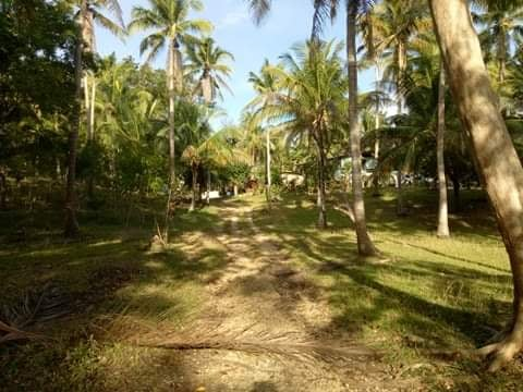 lot baclayon bohol -01