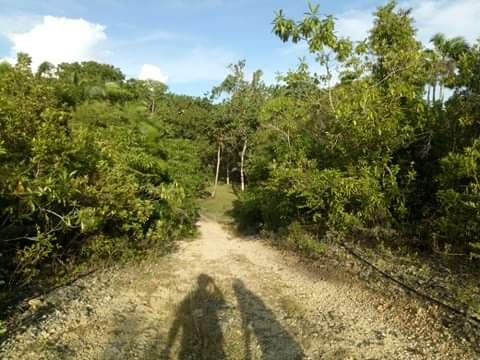 lot baclayon bohol -03